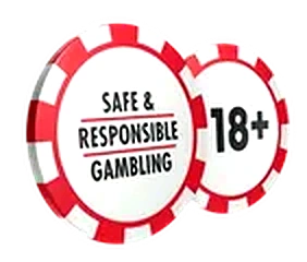Safe and responsible gambling 18+ certification badge